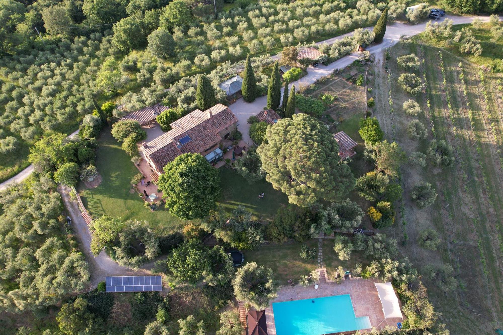 Fontanaro Farm And Culinary School Paciano Exterior foto